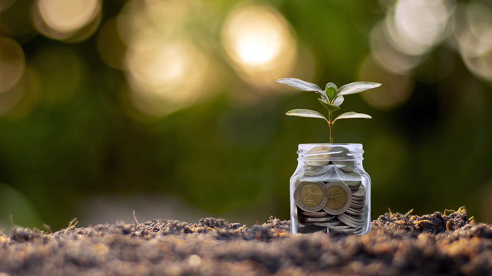 earn-more-with-our-12-month-certificate-special